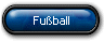 Fu�ball